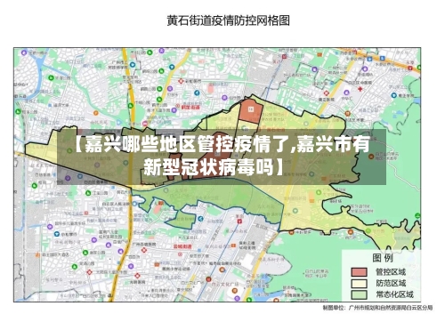 【嘉兴哪些地区管控疫情了,嘉兴市有新型冠状病毒吗】-第2张图片
