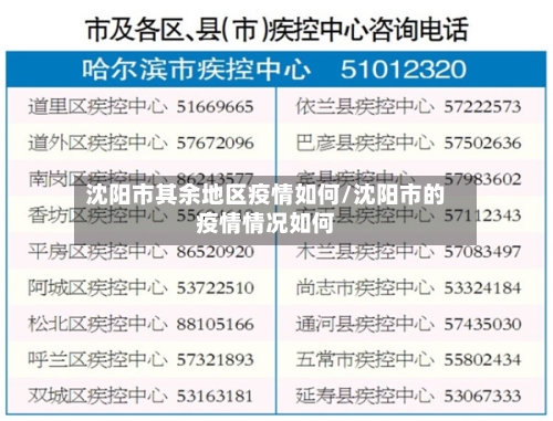 沈阳市其余地区疫情如何/沈阳市的疫情情况如何