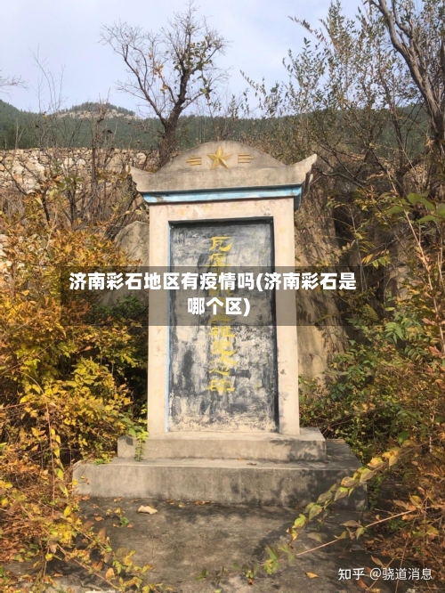 济南彩石地区有疫情吗(济南彩石是哪个区)