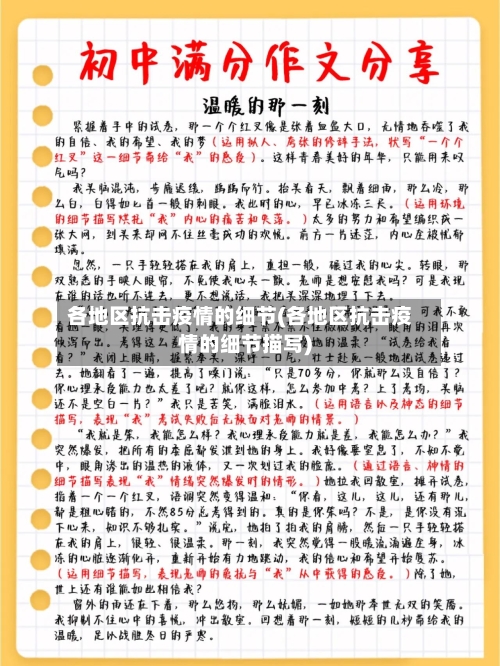 各地区抗击疫情的细节(各地区抗击疫情的细节描写)
