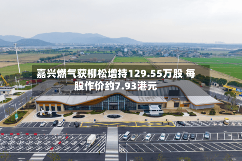 嘉兴燃气获柳松增持129.55万股 每股作价约7.93港元-第2张图片