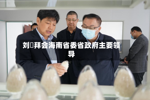 刘珺拜会海南省委省政府主要领导-第2张图片