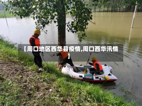 【周口地区西华县疫情,周口西华汛情】-第2张图片